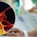 У мешканця Шостки виявили небезпечну хворобу – лептоспіроз