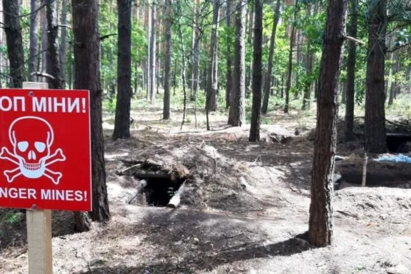 Понад чверть лісів Сумщини залишаються небезпечними через мінування