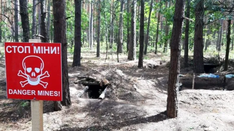 Понад чверть лісів Сумщини залишаються небезпечними через мінування