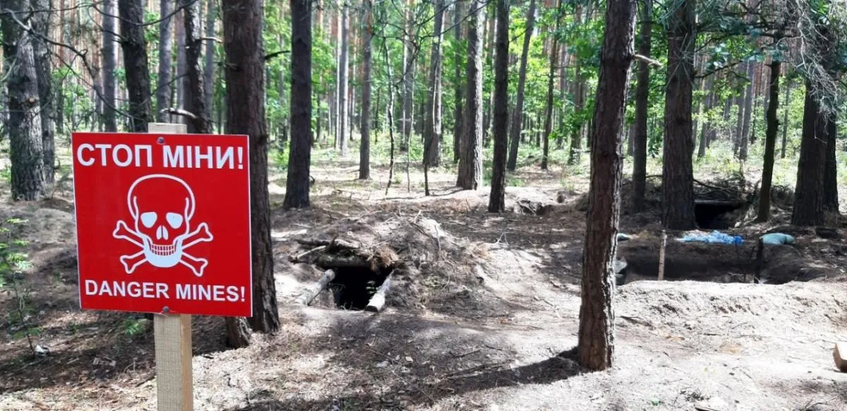Понад чверть лісів Сумщини залишаються небезпечними через мінування
