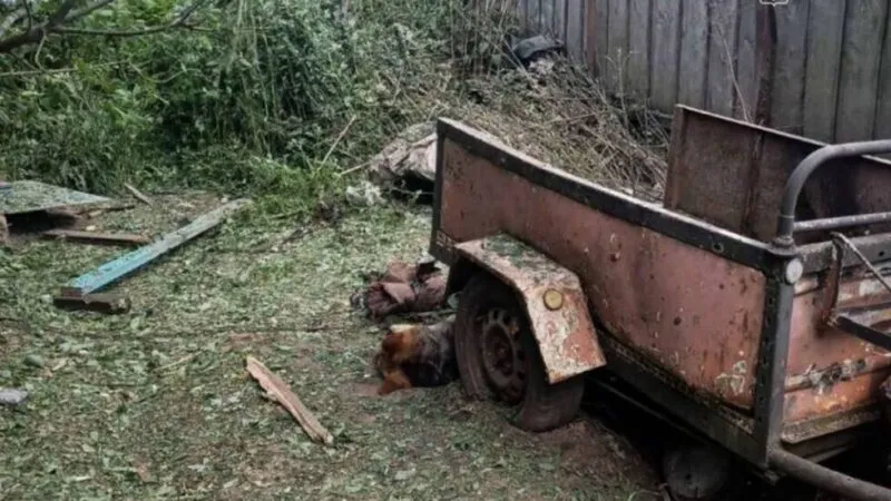 Ворог вдарив по Конотопщині: вбито людину та собаку