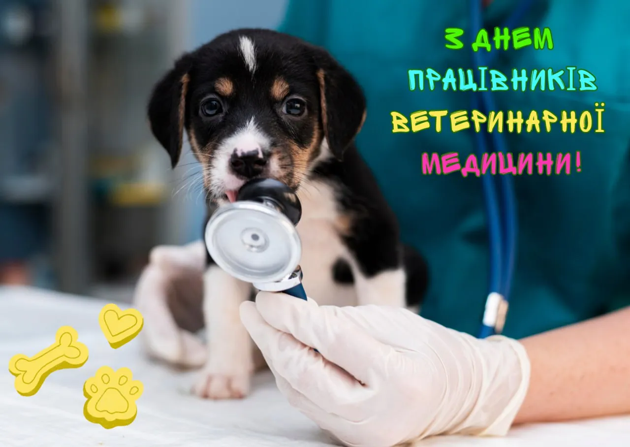 День ветеринара 2026: теплі привітання від власників хвостатих та красиві листівки