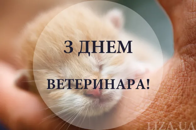 День ветеринара 2026: теплі привітання від власників хвостатих та красиві листівки
